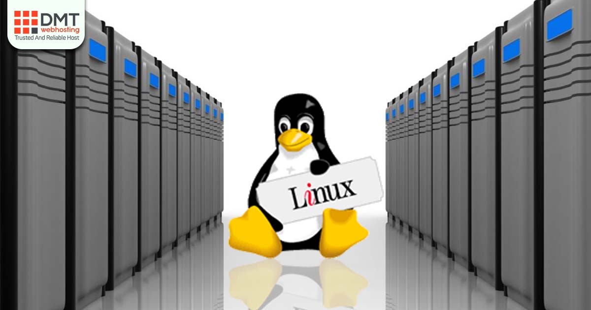 Linux server